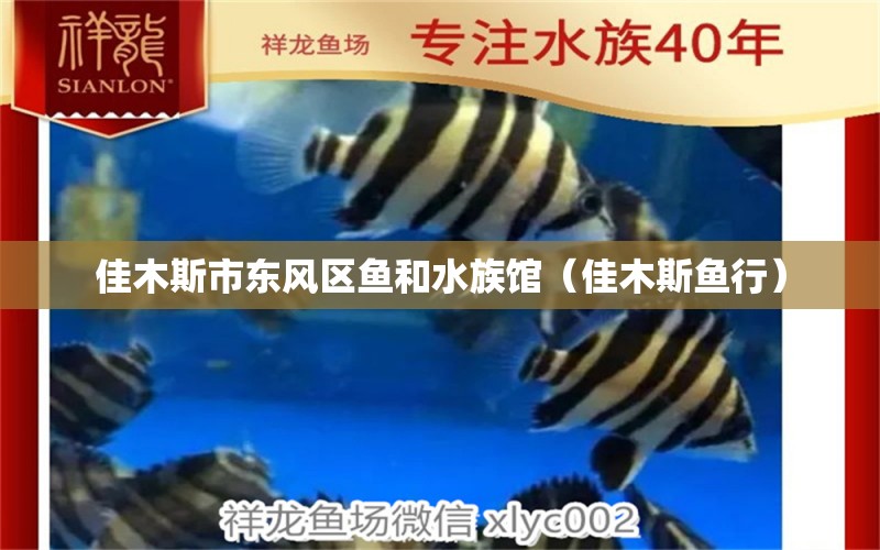 佳木斯市东风区鱼和水族馆（佳木斯鱼行）