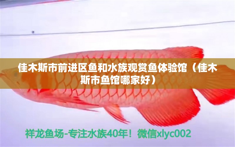 佳木斯市前进区鱼和水族观赏鱼体验馆（佳木斯市鱼馆哪家好） 全国水族馆企业名录