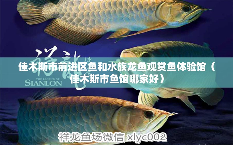 佳木斯市前进区鱼和水族龙鱼观赏鱼体验馆（佳木斯市鱼馆哪家好）