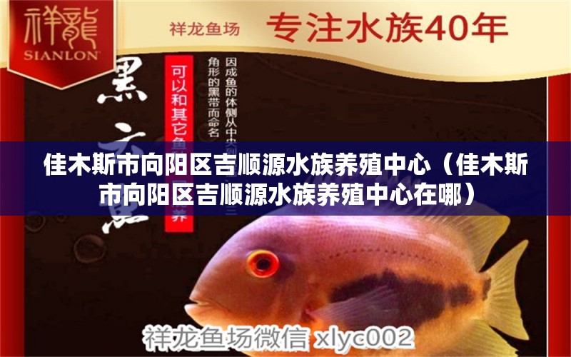 佳木斯市向阳区吉顺源水族养殖中心（佳木斯市向阳区吉顺源水族养殖中心在哪） 全国水族馆企业名录