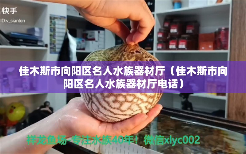 佳木斯市向阳区名人水族器材厅（佳木斯市向阳区名人水族器材厅电话）