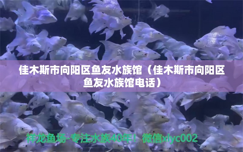 佳木斯市向阳区鱼友水族馆（佳木斯市向阳区鱼友水族馆电话）