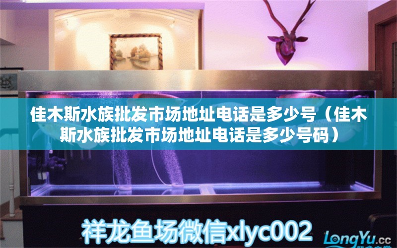 佳木斯水族批发市场地址电话是多少号（佳木斯水族批发市场地址电话是多少号码） 观赏鱼水族批发市场