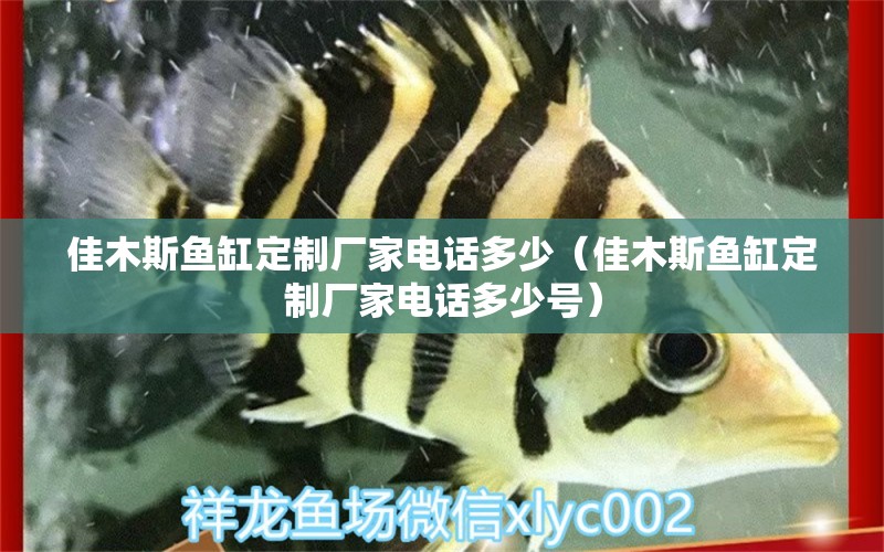 佳木斯鱼缸定制厂家电话多少（佳木斯鱼缸定制厂家电话多少号）