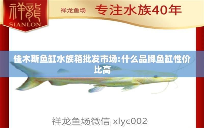 佳木斯鱼缸水族箱批发市场:什么品牌鱼缸性价比高