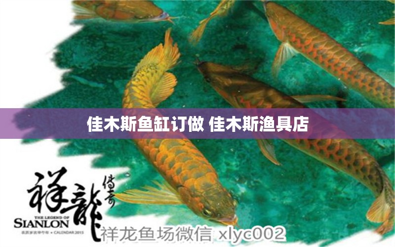 佳木斯鱼缸订做 佳木斯渔具店 祥龙赫舞红龙鱼 第2张