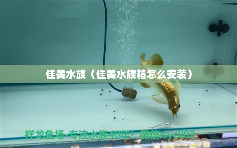 佳美水族（佳美水族箱怎么安装）