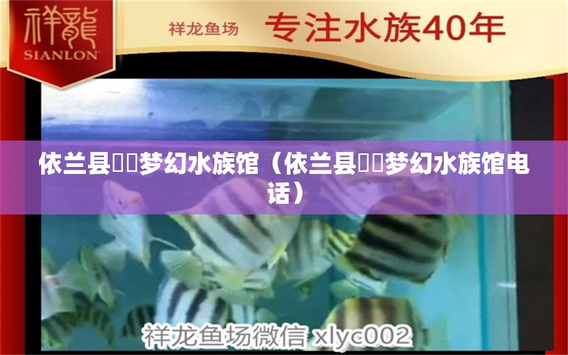 依兰县垟垟梦幻水族馆（依兰县垟垟梦幻水族馆电话）