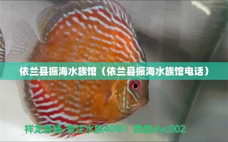 依兰县振海水族馆（依兰县振海水族馆电话）