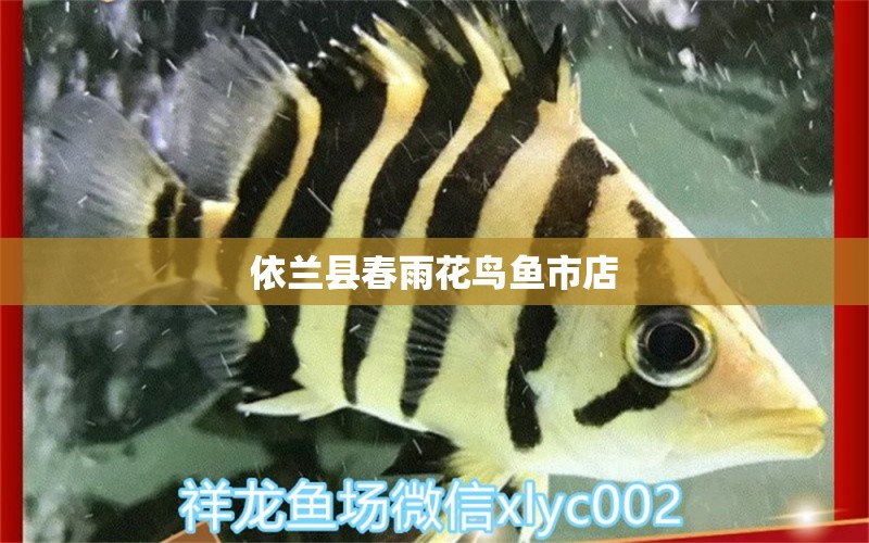 依兰县春雨花鸟鱼市店 全国水族馆企业名录