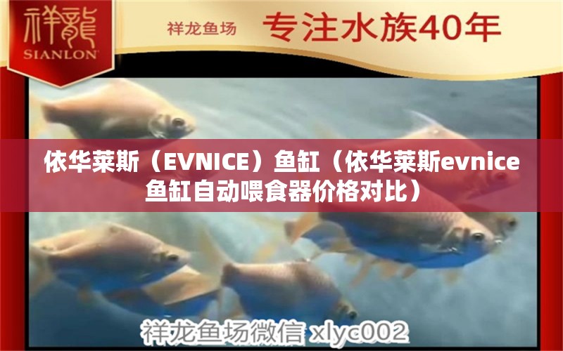 依华莱斯（EVNICE）鱼缸（依华莱斯evnice鱼缸自动喂食器价格对比） 鱼缸百科 第1张