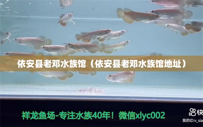 依安县老邓水族馆（依安县老邓水族馆地址）