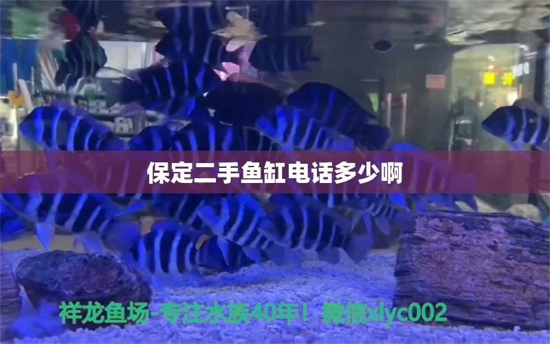 保定二手鱼缸电话多少啊