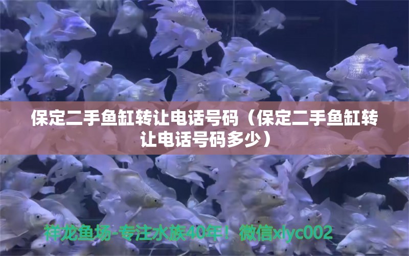 保定二手鱼缸转让电话号码（保定二手鱼缸转让电话号码多少）