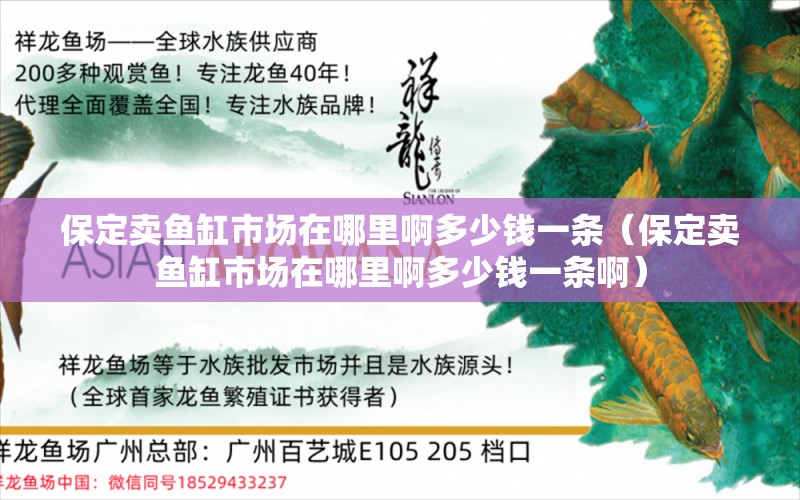 保定卖鱼缸市场在哪里啊多少钱一条（保定卖鱼缸市场在哪里啊多少钱一条啊） 祥龙水族医院