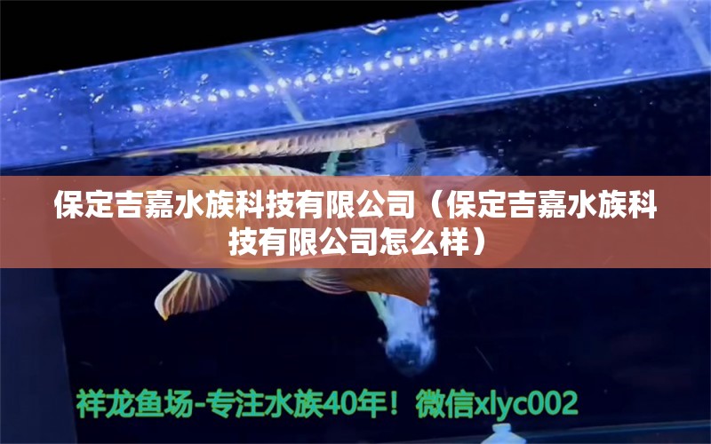 保定吉嘉水族科技有限公司（保定吉嘉水族科技有限公司怎么样）