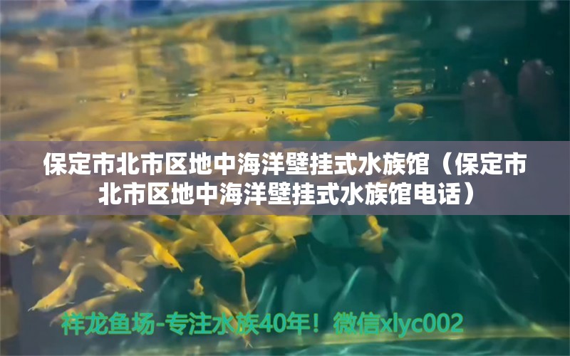 保定市北市区地中海洋壁挂式水族馆（保定市北市区地中海洋壁挂式水族馆电话） 全国水族馆企业名录