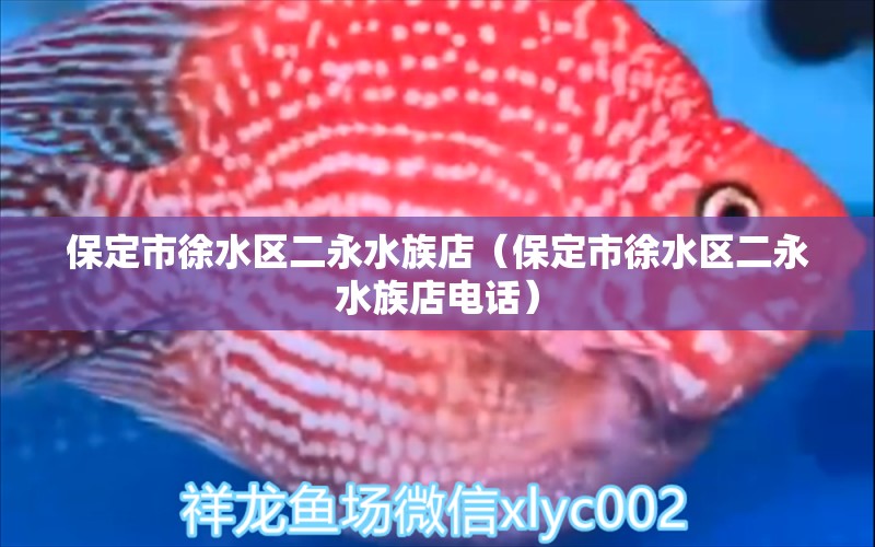 保定市徐水区二永水族店（保定市徐水区二永水族店电话）