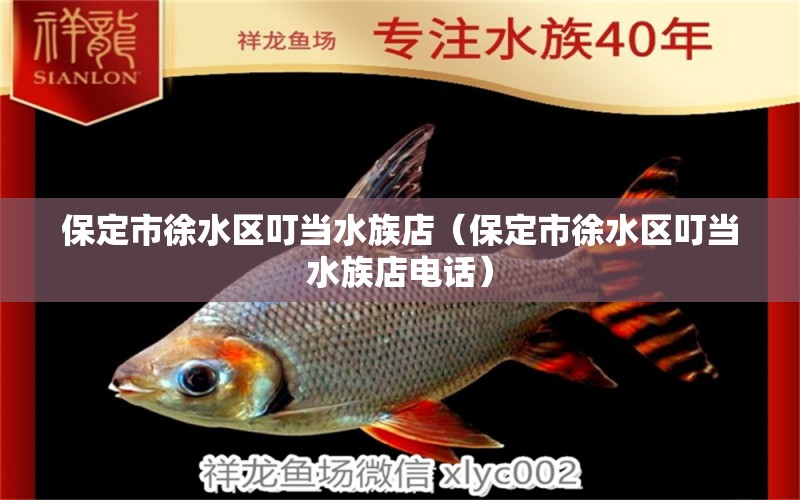 保定市徐水区叮当水族店（保定市徐水区叮当水族店电话）