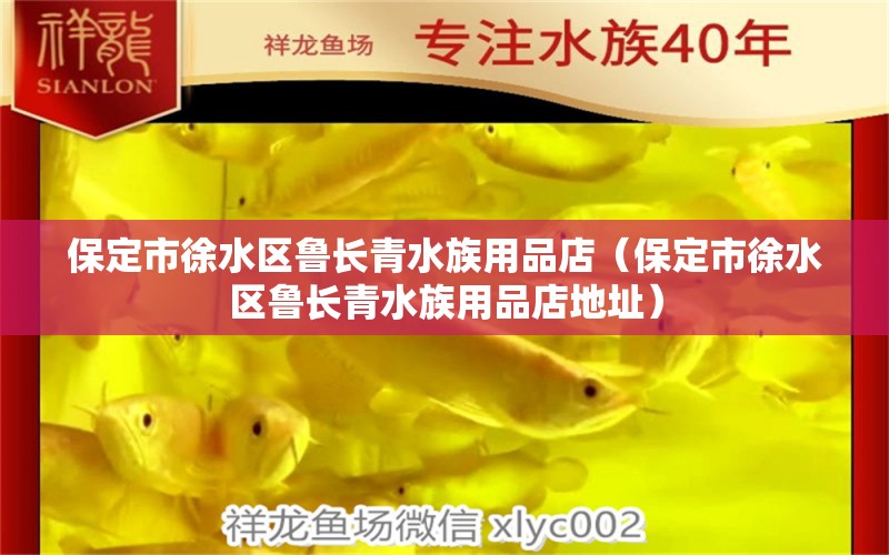 保定市徐水区鲁长青水族用品店（保定市徐水区鲁长青水族用品店地址） 水族用品