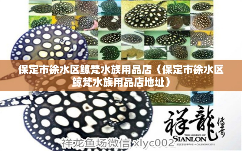 保定市徐水区鲸梵水族用品店（保定市徐水区鲸梵水族用品店地址） 水族用品