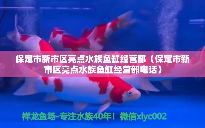 保定市新市区亮点水族鱼缸经营部（保定市新市区亮点水族鱼缸经营部电话）