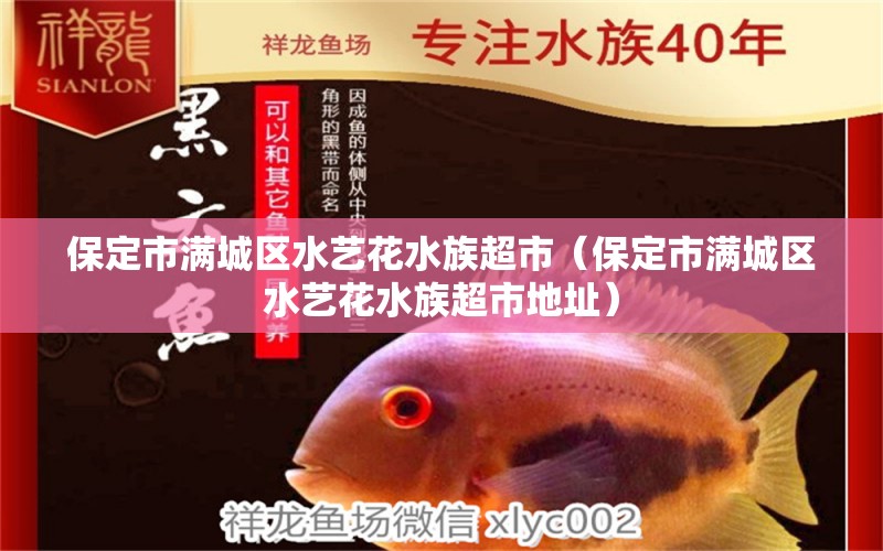 保定市满城区水艺花水族超市（保定市满城区水艺花水族超市地址） 全国水族馆企业名录