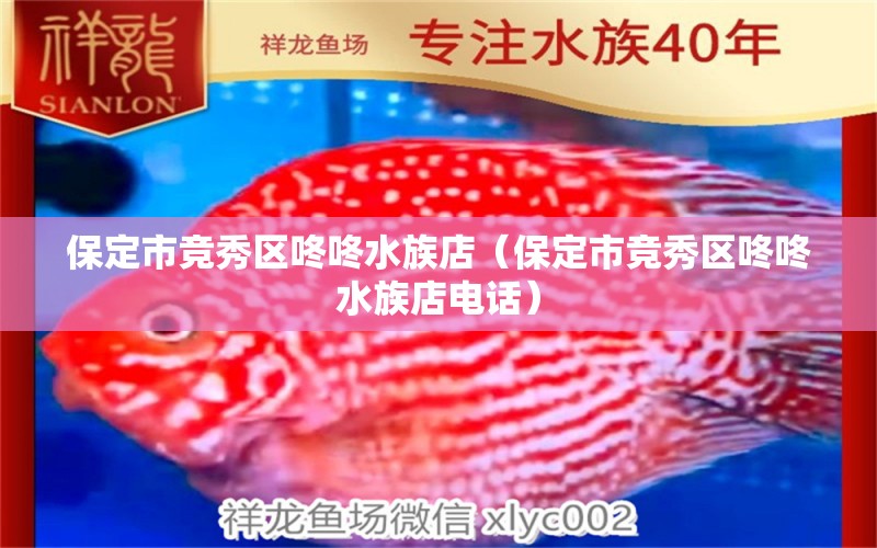 保定市竞秀区咚咚水族店（保定市竞秀区咚咚水族店电话）