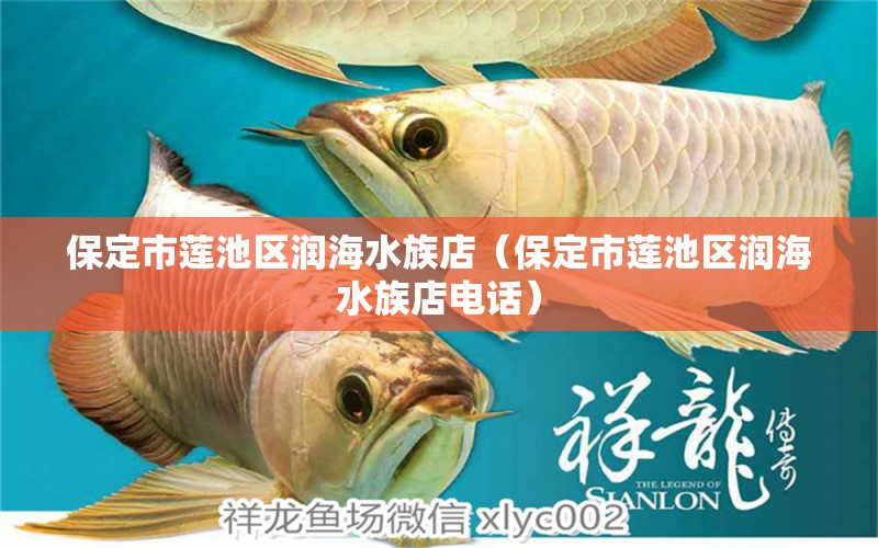 保定市莲池区润海水族店（保定市莲池区润海水族店电话）