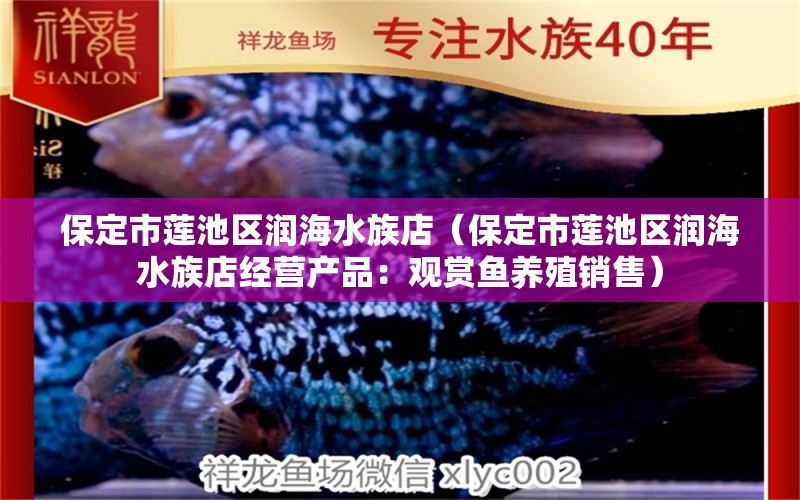 保定市莲池区润海水族店（保定市莲池区润海水族店经营产品：观赏鱼养殖销售） 全国观赏鱼市场 第1张