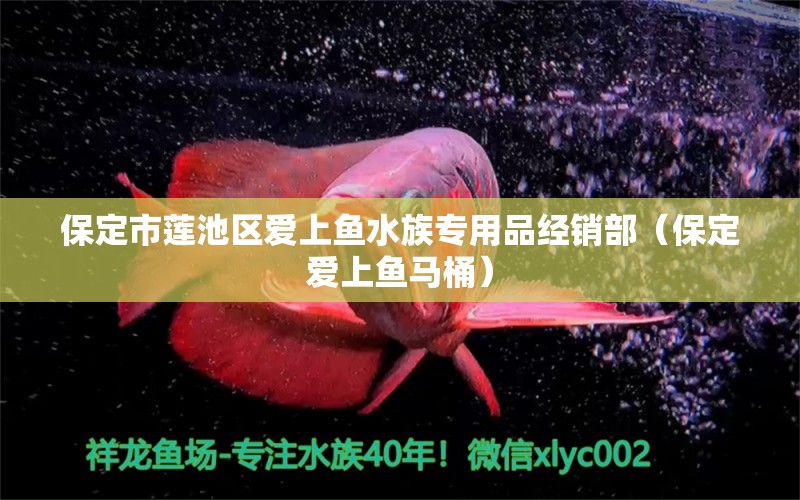 保定市莲池区爱上鱼水族专用品经销部（保定爱上鱼马桶） 全国水族馆企业名录