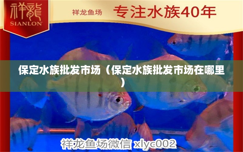 保定水族批发市场（保定水族批发市场在哪里）