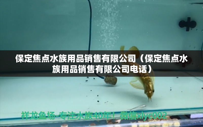 保定焦点水族用品销售有限公司（保定焦点水族用品销售有限公司电话）