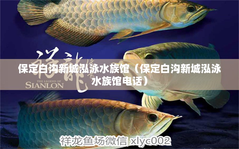 保定白沟新城泓泳水族馆（保定白沟新城泓泳水族馆电话）