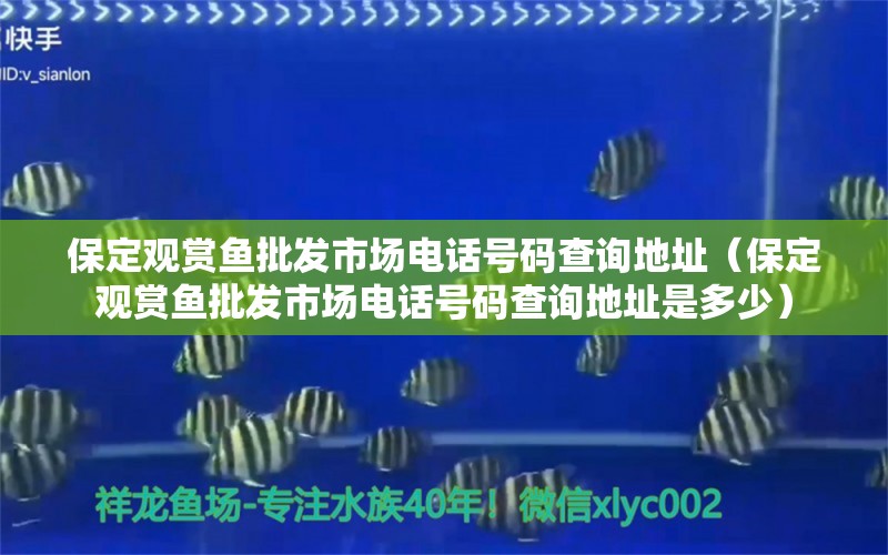 保定观赏鱼批发市场电话号码查询地址（保定观赏鱼批发市场电话号码查询地址是多少）