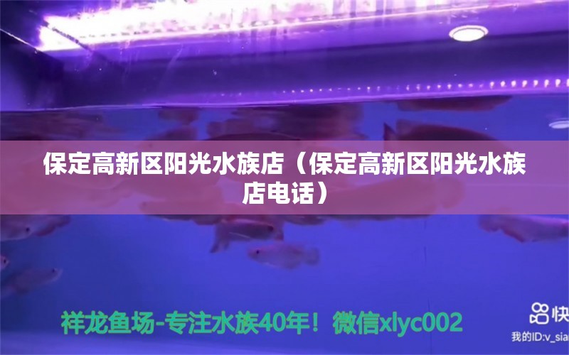 保定高新区阳光水族店（保定高新区阳光水族店电话） 全国水族馆企业名录