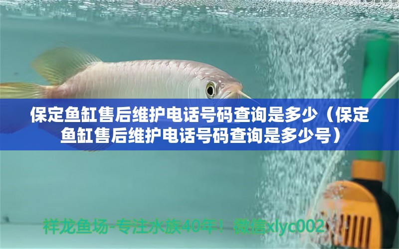 保定鱼缸售后维护电话号码查询是多少（保定鱼缸售后维护电话号码查询是多少号） 其他品牌鱼缸