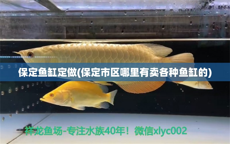 保定鱼缸定做(保定市区哪里有卖各种鱼缸的)