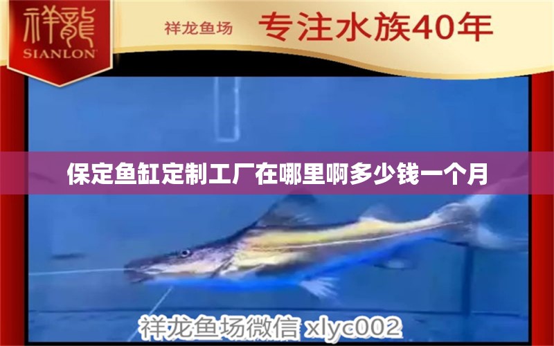 保定鱼缸定制工厂在哪里啊多少钱一个月 水族问答 第2张