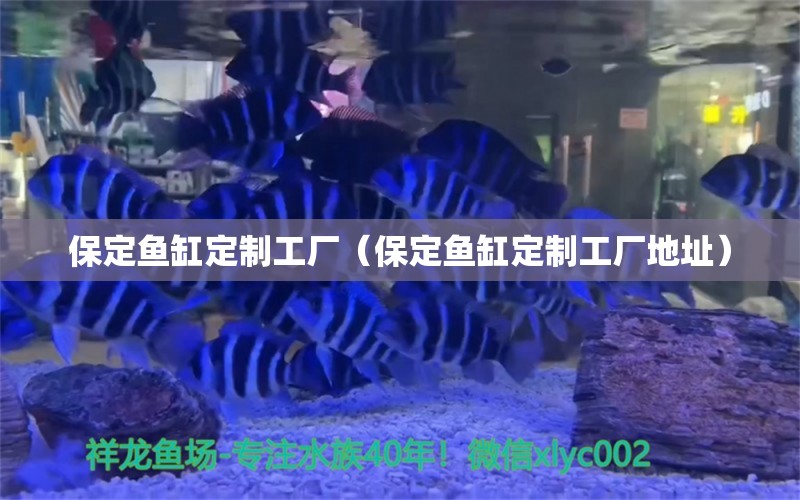 保定鱼缸定制工厂（保定鱼缸定制工厂地址）