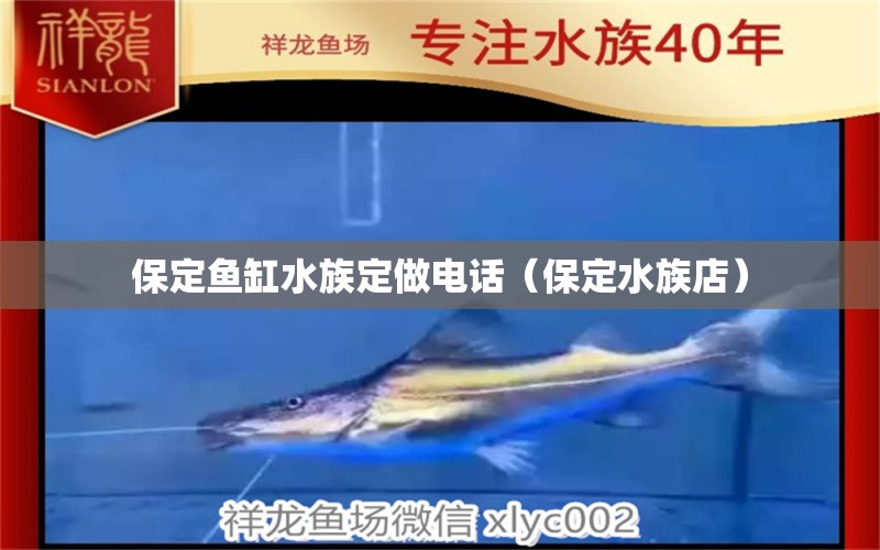 保定鱼缸水族定做电话（保定水族店） 广州观赏鱼批发市场