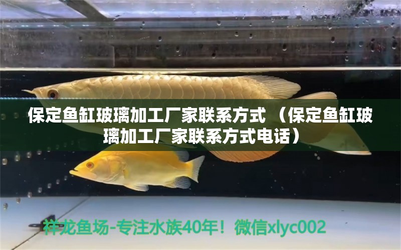 保定鱼缸玻璃加工厂家联系方式 （保定鱼缸玻璃加工厂家联系方式电话）