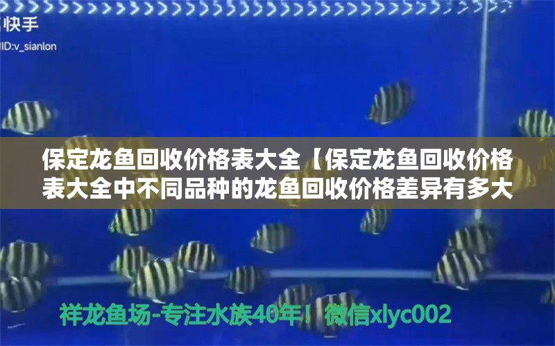 保定龙鱼回收价格表大全【保定龙鱼回收价格表大全中不同品种的龙鱼回收价格差异有多大】 水族问答 第1张