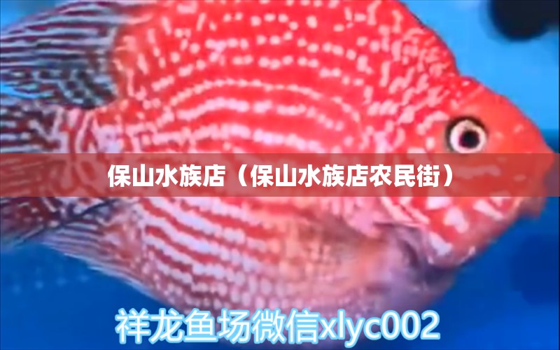 保山水族店（保山水族店农民街）