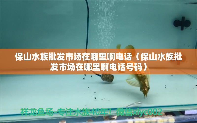 保山水族批发市场在哪里啊电话（保山水族批发市场在哪里啊电话号码）