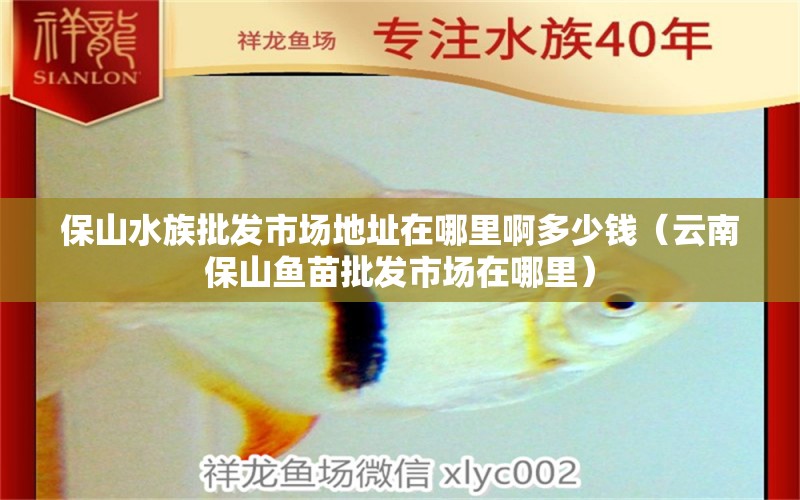 保山水族批发市场地址在哪里啊多少钱（云南保山鱼苗批发市场在哪里） 观赏鱼水族批发市场 第1张