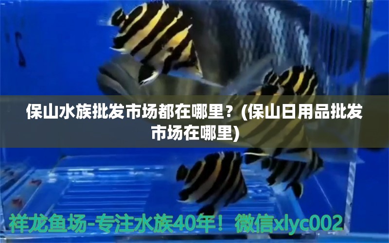 保山水族批发市场都在哪里？(保山日用品批发市场在哪里) 观赏鱼水族批发市场