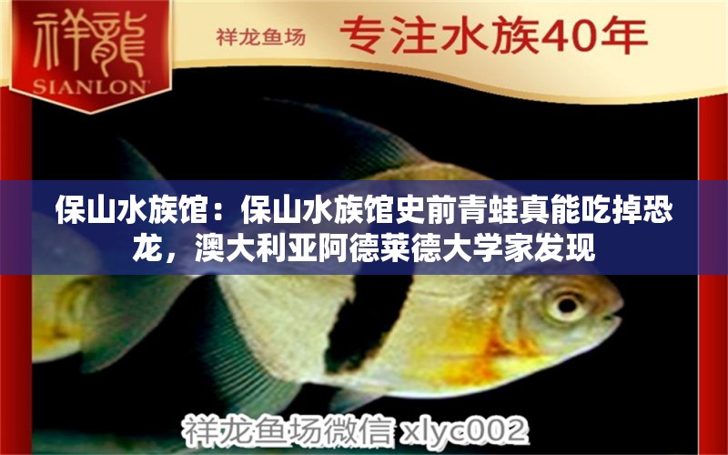 保山水族馆：保山水族馆史前青蛙真能吃掉恐龙，澳大利亚阿德莱德大学家发现 全国观赏鱼市场 第3张