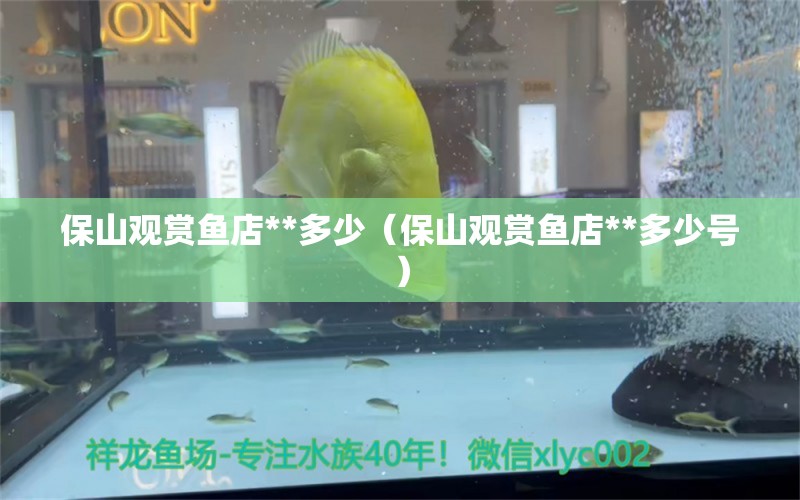 保山观赏鱼店**多少（保山观赏鱼店**多少号） 祥龙水族医院