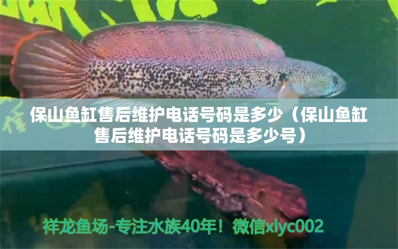 保山鱼缸售后维护电话号码是多少（保山鱼缸售后维护电话号码是多少号） 其他品牌鱼缸